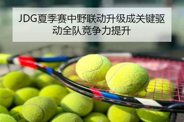 JDG夏季赛中野联动升级成关键驱动全队竞争力提升