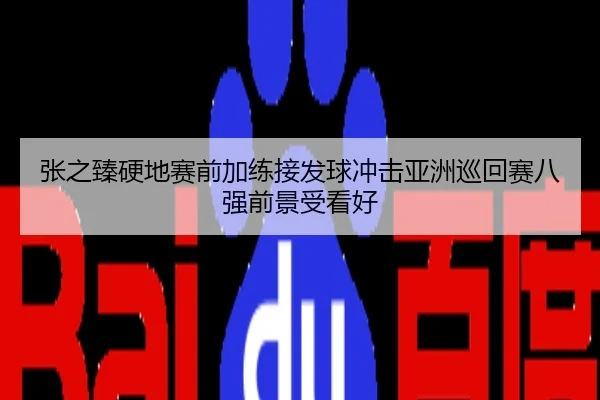张之臻硬地赛前加练接发球冲击亚洲巡回赛八强前景受看好