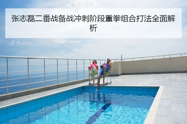 张志磊二番战备战冲刺阶段重拳组合打法全面解析
