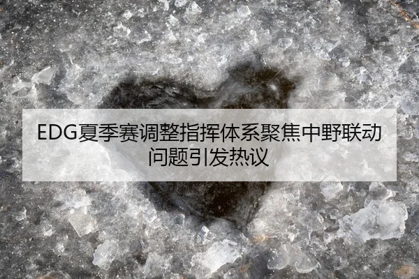 EDG夏季赛调整指挥体系聚焦中野联动问题引发热议
